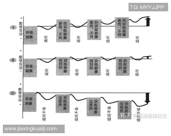 陈军深度解析羽毛球技巧与心得分享助你提升竞技水平